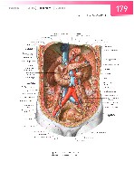 Sobotta  Atlas of Human Anatomy  Trunk, Viscera,Lower Limb Volume2 2006, page 186